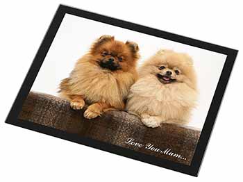 Pomeranian Dogs 