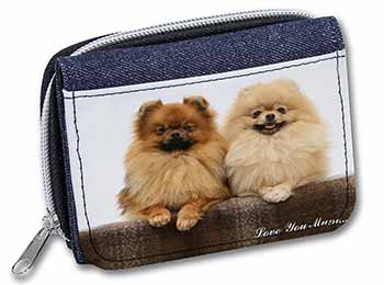 Pomeranian Dogs 