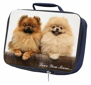 Pomeranian Dogs 