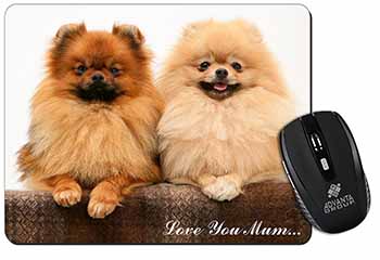 Pomeranian Dogs 