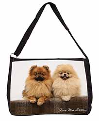 Pomeranian Dogs 