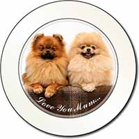 Pomeranian Dogs 