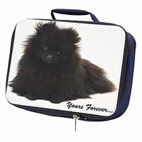 Pomeranian Dog 