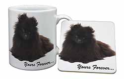 Pomeranian Dog 