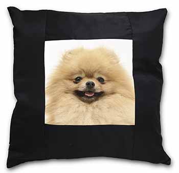 Cream Pomeranian Dog Black Satin Feel Scatter Cushion