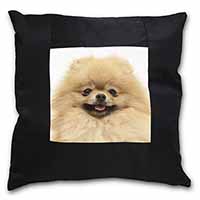 Cream Pomeranian Dog Black Satin Feel Scatter Cushion