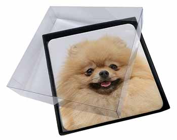4x Cream Pomeranian Dog Picture Table Coasters Set in Gift Box