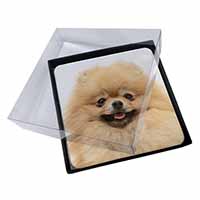 4x Cream Pomeranian Dog Picture Table Coasters Set in Gift Box