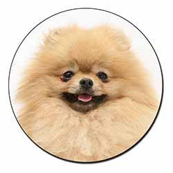 Cream Pomeranian Dog Fridge Magnet Printed Full Colour