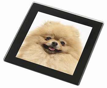 Cream Pomeranian Dog Black Rim High Quality Glass Coaster