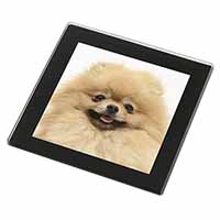 Cream Pomeranian Dog Black Rim High Quality Glass Coaster