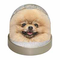 Cream Pomeranian Dog Snow Globe Photo Waterball