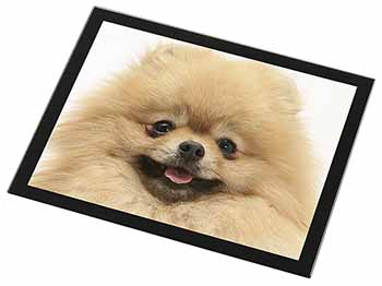 Cream Pomeranian Dog Black Rim High Quality Glass Placemat