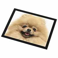 Cream Pomeranian Dog Black Rim High Quality Glass Placemat