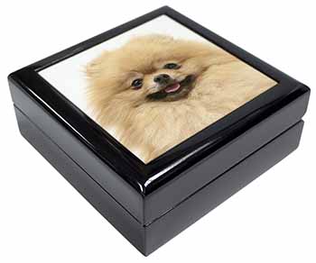 Cream Pomeranian Dog Keepsake/Jewellery Box