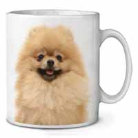 Cream Pomeranian Dog Ceramic 10oz Coffee Mug/Tea Cup