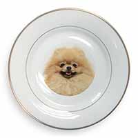 Cream Pomeranian Dog Gold Rim Plate Printed Full Colour in Gift Box