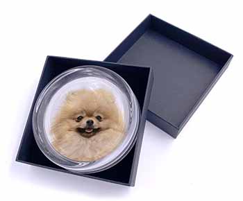 Cream Pomeranian Dog Glass Paperweight in Gift Box