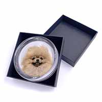 Cream Pomeranian Dog Glass Paperweight in Gift Box