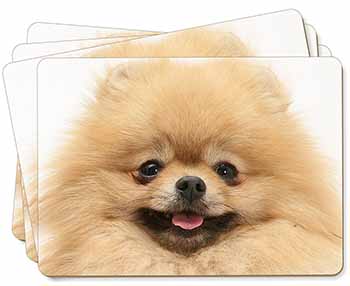 Cream Pomeranian Dog Picture Placemats in Gift Box