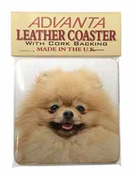 Cream Pomeranian Dog Single Leather Photo Coaster