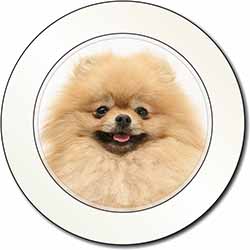 Cream Pomeranian Dog Car or Van Permit Holder/Tax Disc Holder