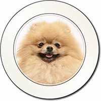 Cream Pomeranian Dog Car or Van Permit Holder/Tax Disc Holder