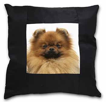 Pomeranian Dog Black Satin Feel Scatter Cushion