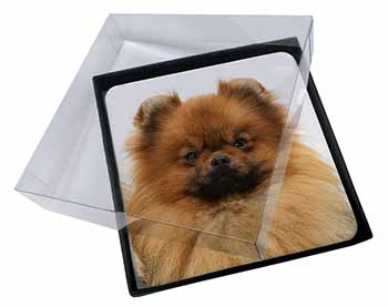 4x Pomeranian Dog Picture Table Coasters Set in Gift Box