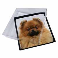 4x Pomeranian Dog Picture Table Coasters Set in Gift Box