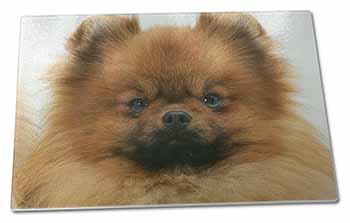 Large Glass Cutting Chopping Board Pomeranian Dog