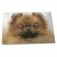 Large Glass Cutting Chopping Board Pomeranian Dog