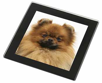 Pomeranian Dog Black Rim High Quality Glass Coaster