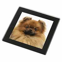 Pomeranian Dog Black Rim High Quality Glass Coaster