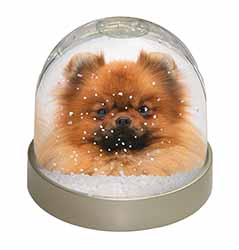 Pomeranian Dog Snow Globe Photo Waterball
