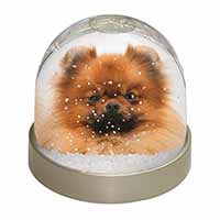 Pomeranian Dog Snow Globe Photo Waterball