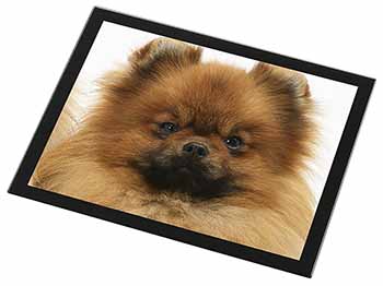 Pomeranian Dog Black Rim High Quality Glass Placemat