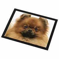Pomeranian Dog Black Rim High Quality Glass Placemat