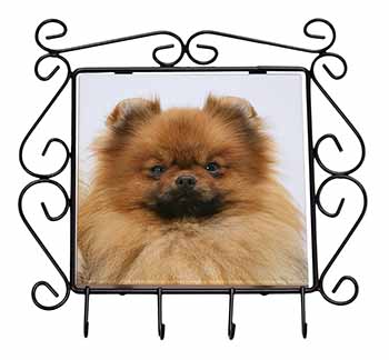 Pomeranian Dog Wrought Iron Key Holder Hooks