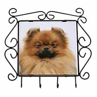 Pomeranian Dog Wrought Iron Key Holder Hooks