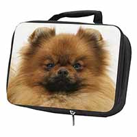 Pomeranian Dog Black Insulated School Lunch Box/Picnic Bag
