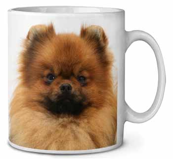 Pomeranian Dog Ceramic 10oz Coffee Mug/Tea Cup