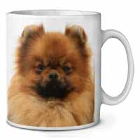 Pomeranian Dog Ceramic 10oz Coffee Mug/Tea Cup