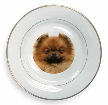 Pomeranian Dog Gold Rim Plate Printed Full Colour in Gift Box