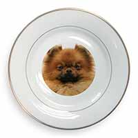 Pomeranian Dog Gold Rim Plate Printed Full Colour in Gift Box