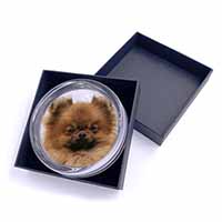 Pomeranian Dog Glass Paperweight in Gift Box