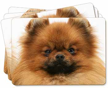 Pomeranian Dog Picture Placemats in Gift Box
