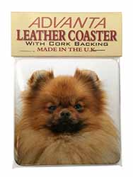Pomeranian Dog Single Leather Photo Coaster