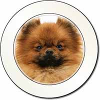 Pomeranian Dog Car or Van Permit Holder/Tax Disc Holder