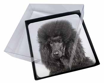 4x Black Poodle Dog Picture Table Coasters Set in Gift Box